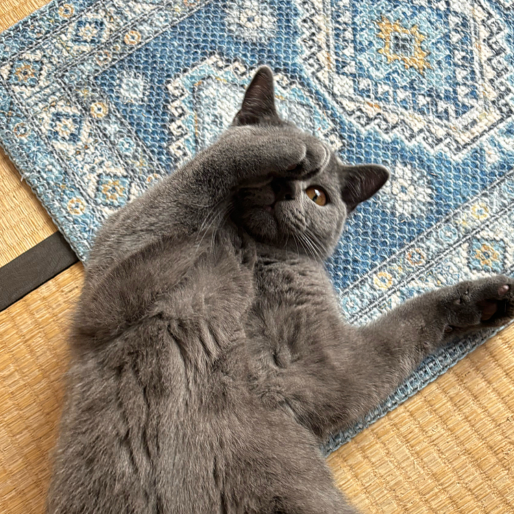 究極のあざとポーズ