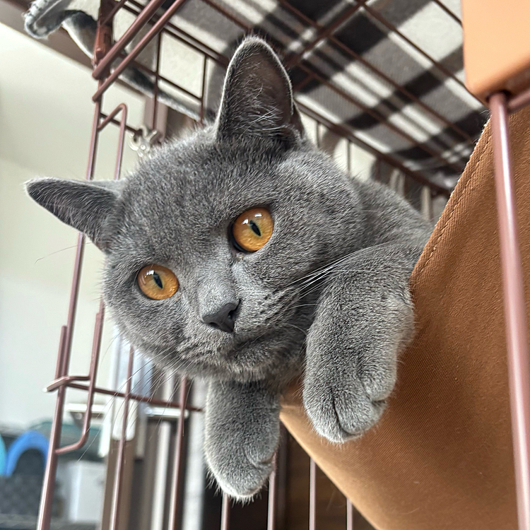 おてて短くなっちゃったぁ
