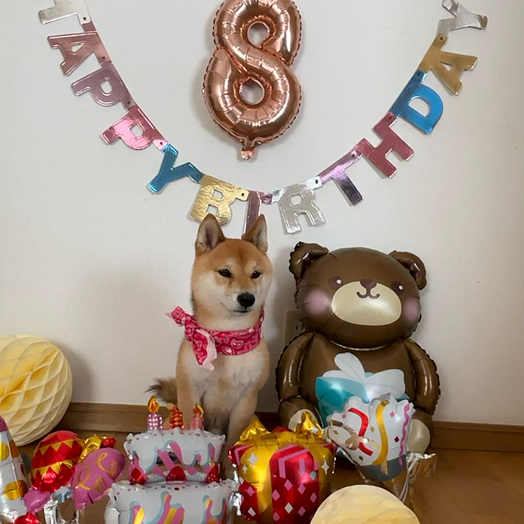 2025.09.27(土)
25日は櫂の8歳のお誕生日でした🎂
