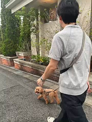3連休はワクチンを打ちに🏥
年に注射×2とあと1回受診するかしないかなのに看護師のお姉さんは毎回「ハッピーちゃんですね」と名前を覚えているんです！先生も心を寄せてくれる温かなタイプなのでハッピーもガクブルしながらも尻尾フリフリです🐶
体重は4.76キロと3ヶ月前から全然減っていませんでした💦

あとは近場のお散歩とアウトレットにキャンプ用品見に行ったくらいです😅