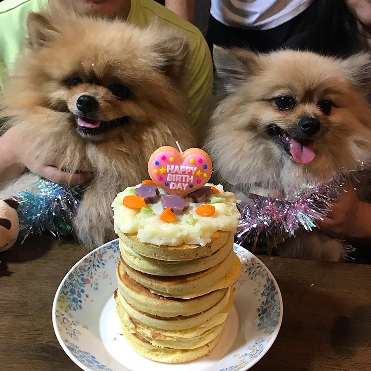 先月、27日に6歳になりました✨