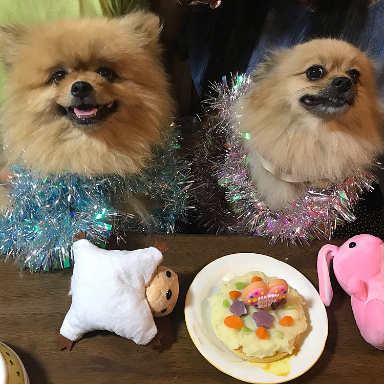 7段のてっぺんは僕たち2人でわけわけしました✨
