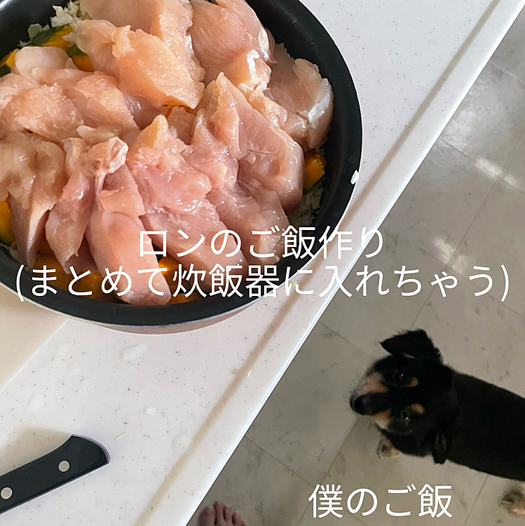 チャコの投稿