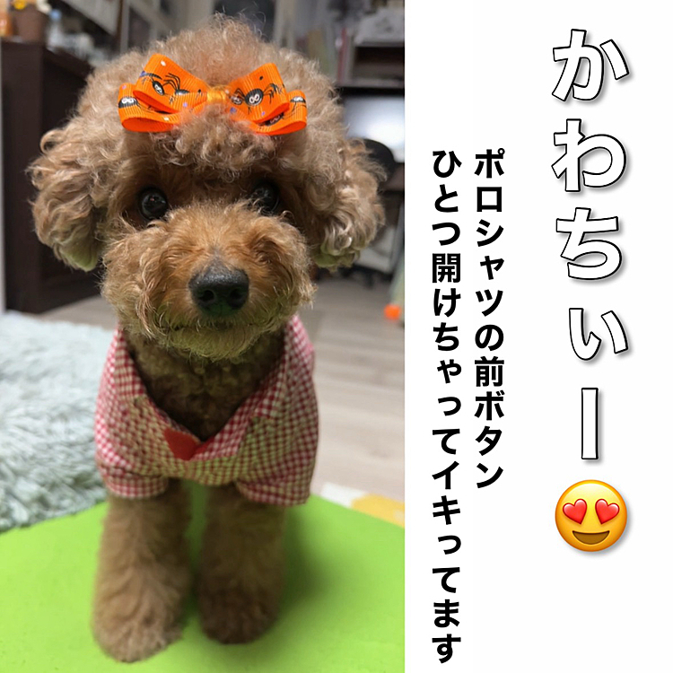 こっちに来た時、ボタンひとつ開けてるんですか？

カッコつけて見えました




