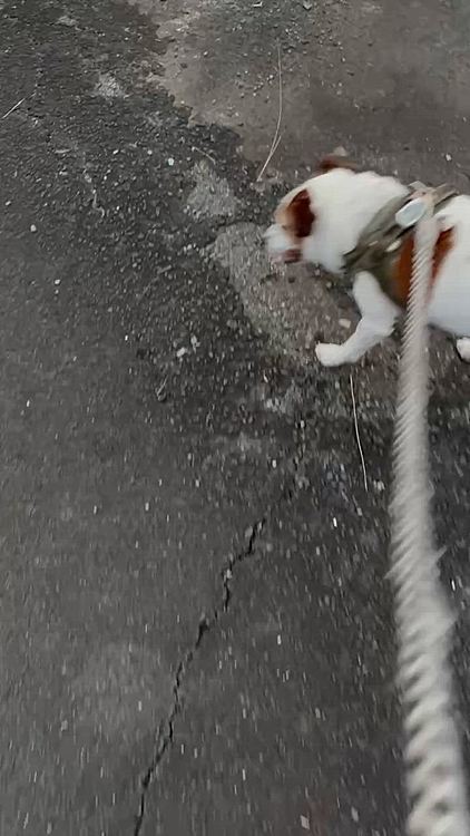 バッテリーが無くなりかけると七色じゃなく
赤オンリーの点滅に、、😅