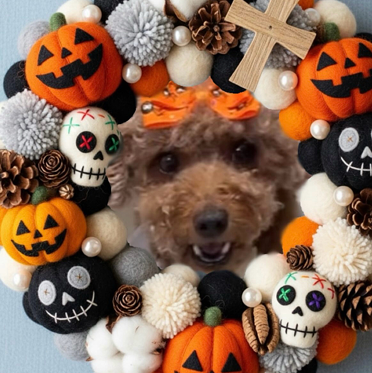 牙がハロウィン🎃仕様です






