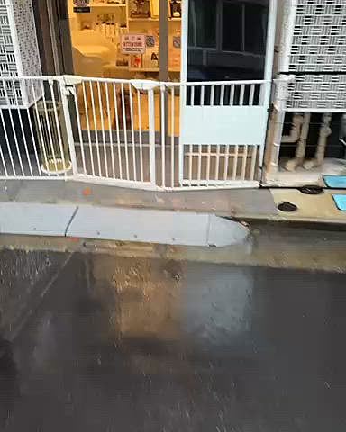 お迎えに行ったら、フリーにされていたのでカメラ回しました
お座りして待ってる!
安心してください鍵かかっています