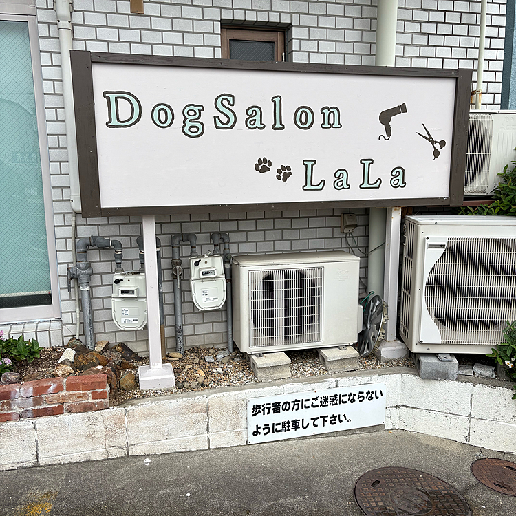 日曜日は2週間ぶりにトリミングに
