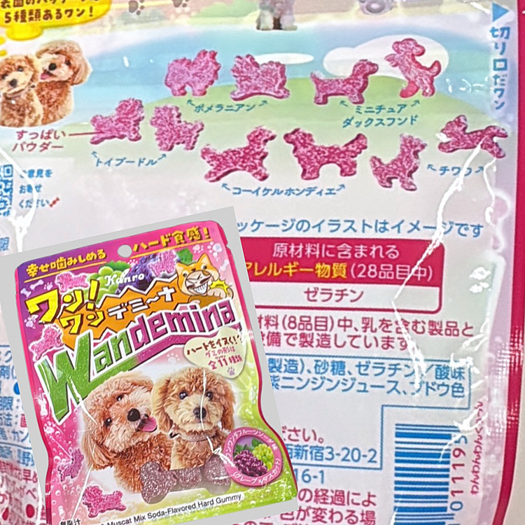 ワンコのカタチしたグミ見つけました!
パッケージがチワワとかダックスとかいろんなことがいそう
酸っぱい