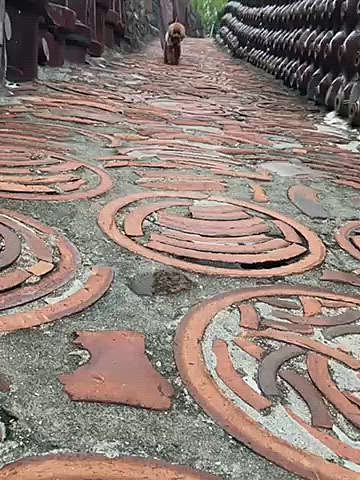 パパさんの誕生日で休みを取っていたので県内の焼き物の街へお出掛け🎉
平日だから人も少なくゆっくりお散歩出来ました🐾