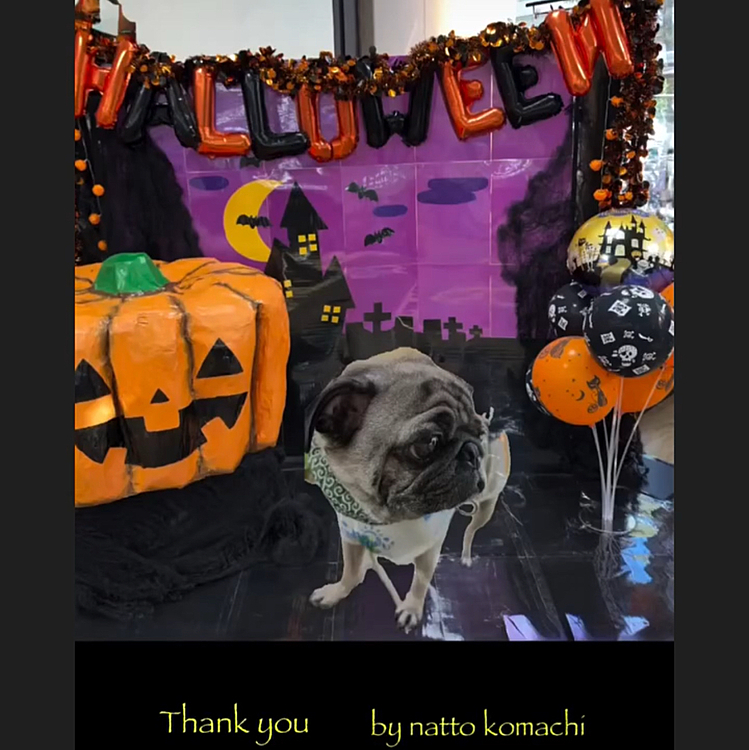 ハロウィン👻🎃楽しかったね！🤍