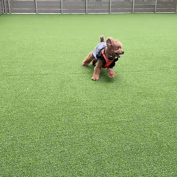 楽しんでる図１




