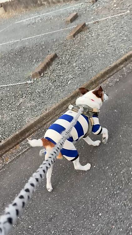 翌日も寒かった