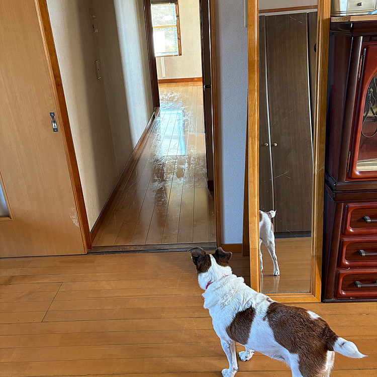 げっ⁉️写真撮ってるー😱
と、かたまるタイガー🐯、、😅