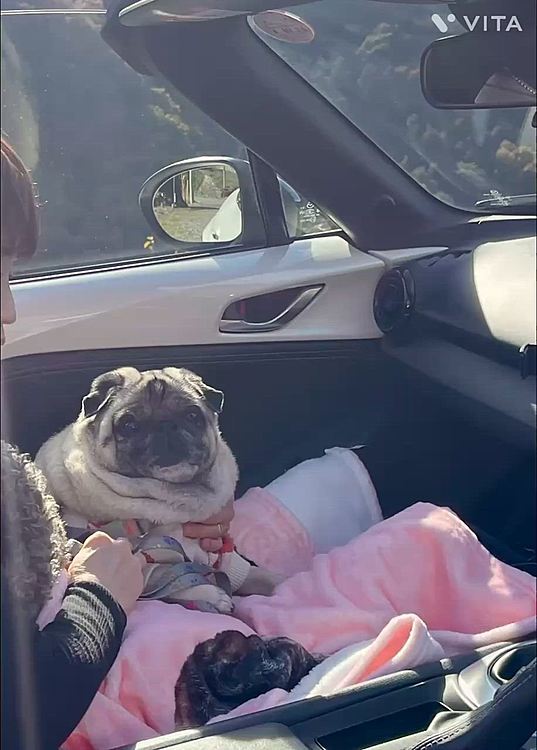 道の駅上州おにし➡️道の駅万葉の里➡️道の駅上野村➡️道の駅オアシスなんもく➡️道の駅しもにた　
いいお天気の下、きもちいいドライブでした🚗💨
