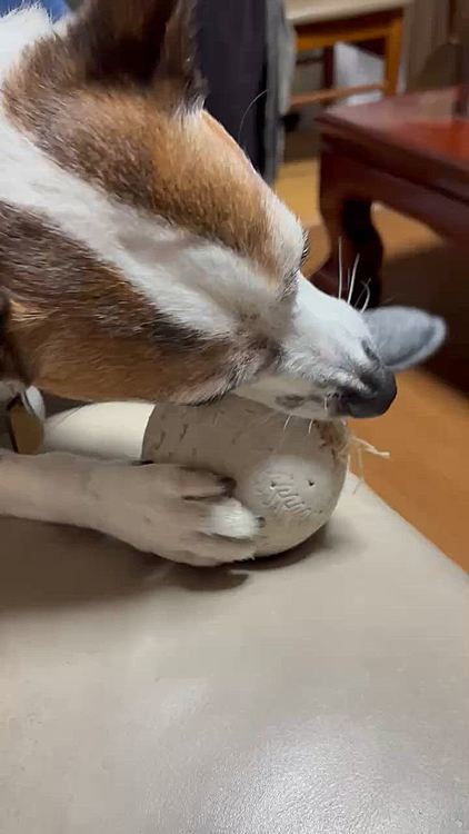 只今ボール解体中😱