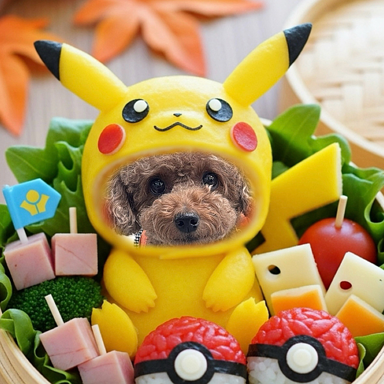 テンプレートです

ライアンピカチュウ弁当

ライチュウ弁です

あれ？ピカチュウって進化したらライチュウじゃなかったっけ？？？



