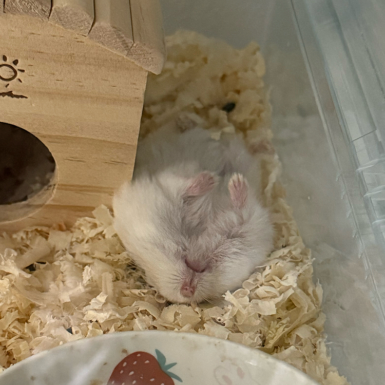 ぷりちゅ〜爆睡してました☺️