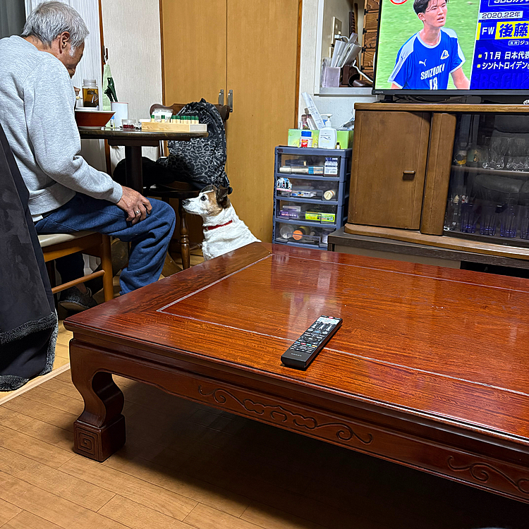 お利口してますから何かください