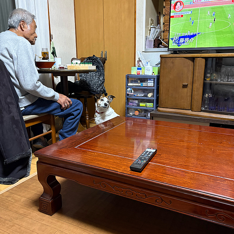 えっ⁉️
何かくれるの❓