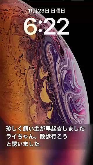 回復して早起きしたんですね

早朝の散歩に連れて行ってあげようと

6時くらいから支度してたんだけど

起きてこない・・・

小さな声で「お散歩行こう」

って言っても「ふん」って

いつも寝てる時間だよ！ですよね

飼い主も勝手

で、行ったら行ったで

あちこち嗅ぎ回りたくて

ママは鼻水出てきて帰りたくなりました







