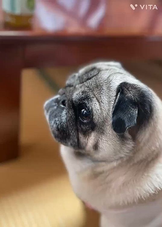 姪っ子家✖️2の子供達にいっぱいモニモニしてもらいましたよ🤗