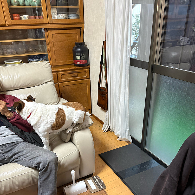 こんなとこから
パパのオヤツ狙ってる😅