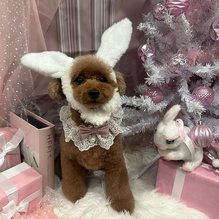 うさちゃんにもされた






