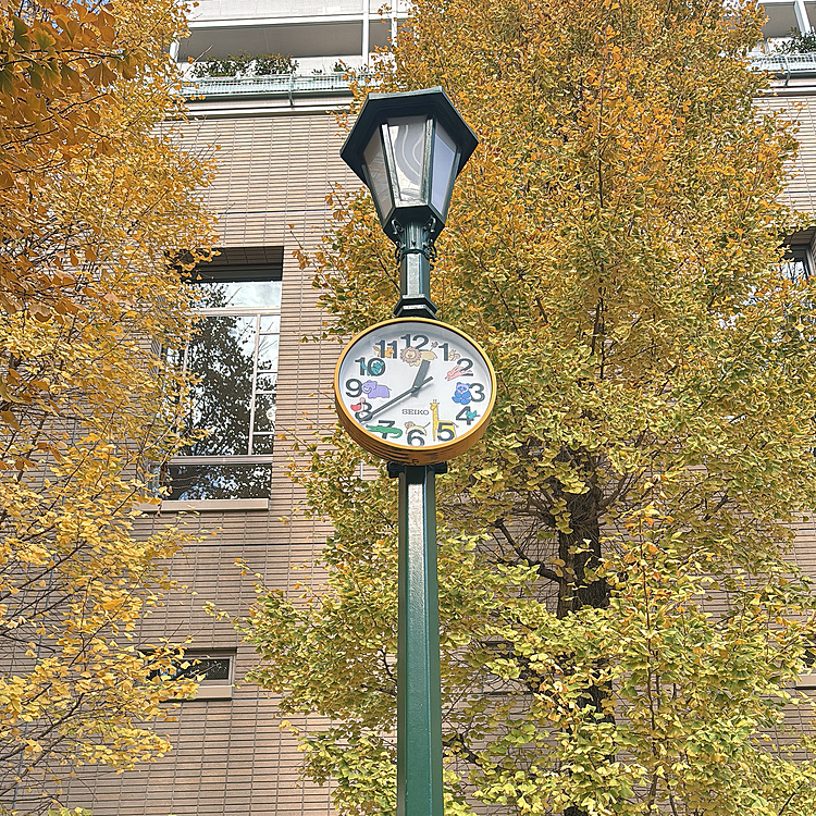 銀杏もあったよ





