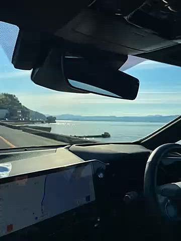 松江城は天守閣まで🐶が入れるんです🏯
朝ドラばけばけが松江の没落士族の娘・小泉セツがモデルの物語なのでこちらも盛り上がっているようです☺️
無料ガイドの方が色々教えて下さりとても勉強になりました📝
石垣に💗🐢

秋の旅行後半に続きます、、、