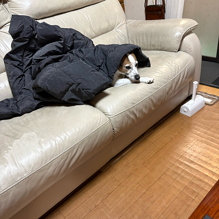 ちゃっかり、暖を取ってました🤭