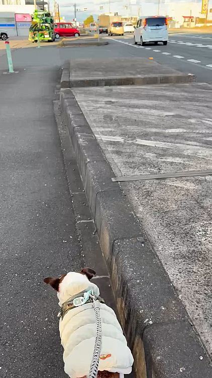 寒っ🥶
北の空に雪雲発見