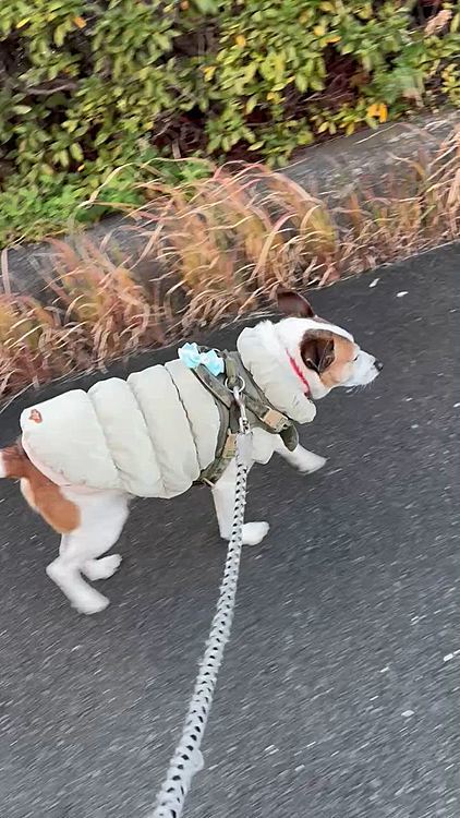 超家路急いでるじゃん🤣🤣🤣