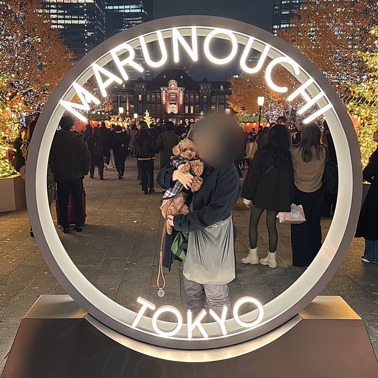 東京駅向かいの新丸ビルで夕食を食べてからと思っていたら、貸切でした💦

困ったなぁと思っていたら、

ウエディングフォトで有名な場所でマルシェやってました

そこでお腹を膨らませ、寝台車に乗りました






