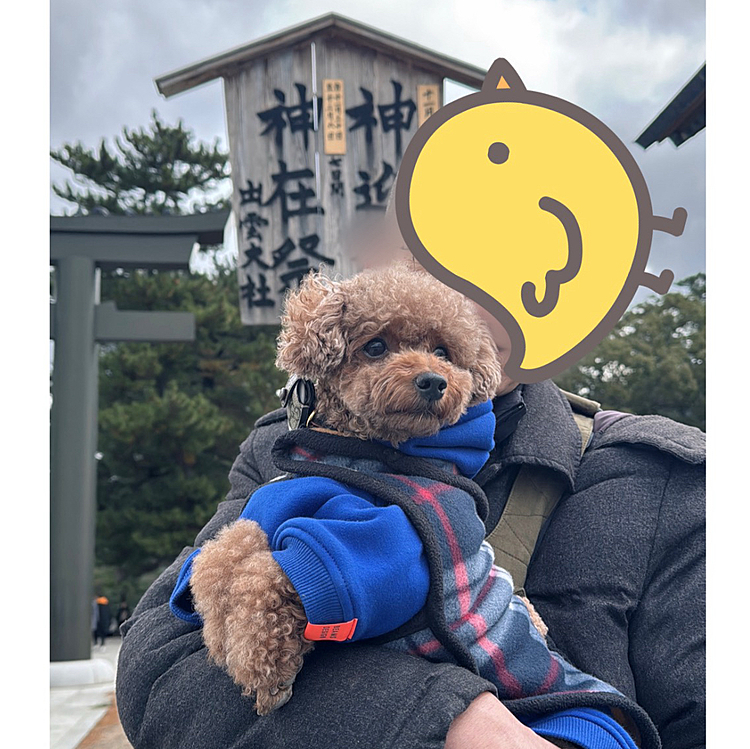 欲深飼い主、今年も神在月に







