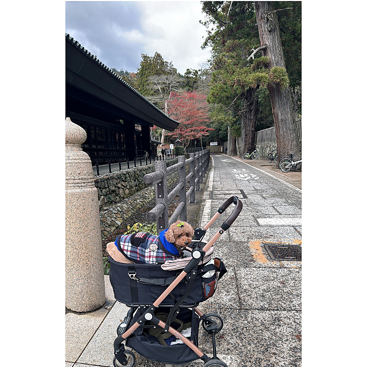 この場所は人もあまり通らず秋を感じれる場所❤️






