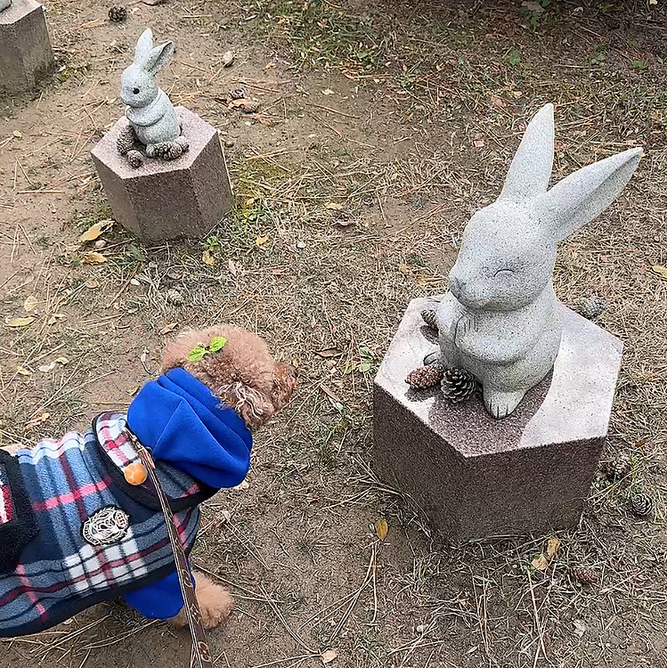 ウサちゃんとお話ししてる(ような)図





