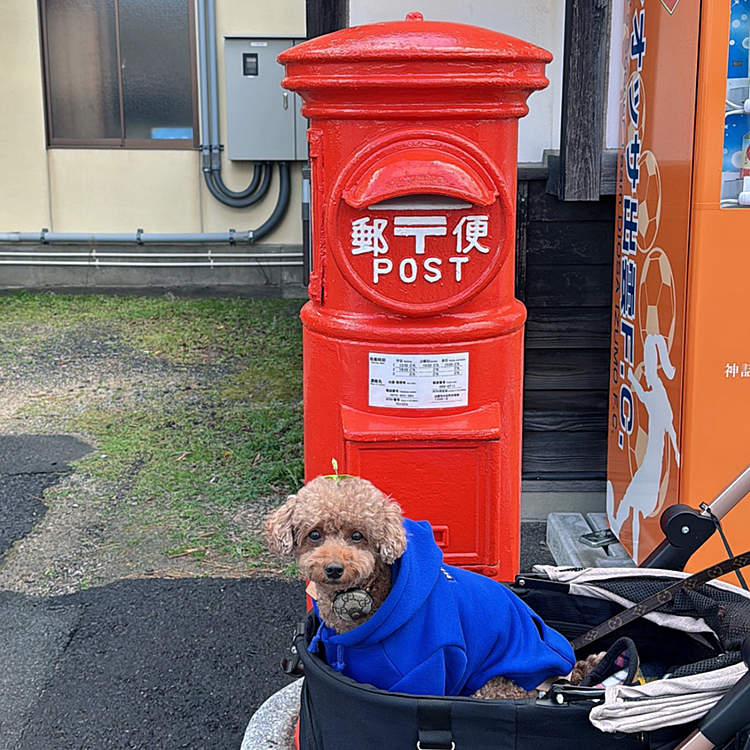 珍しいポストを発見






