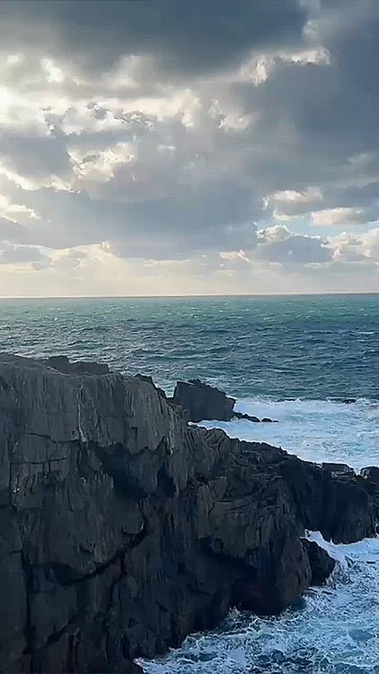 東映の映画が始まる前の波の荒れよう

飼い主、なぜかテンションあがります







