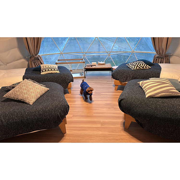 グランピングのお部屋

・冬には向かない
　(エアコンを30℃にしても付近しか暖かくない)、エアコンのそばで厚着して寝ました

・トイレ、水場が別で外
　(お風呂が温泉だったのに湯冷めしてしまいます、それにトイレに行くための防寒着がめんどうでした)

・家電は結構充実してました
　(冬に備え床暖あったらよかったのに)






