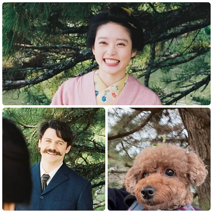 ここもたぶんそう😊










