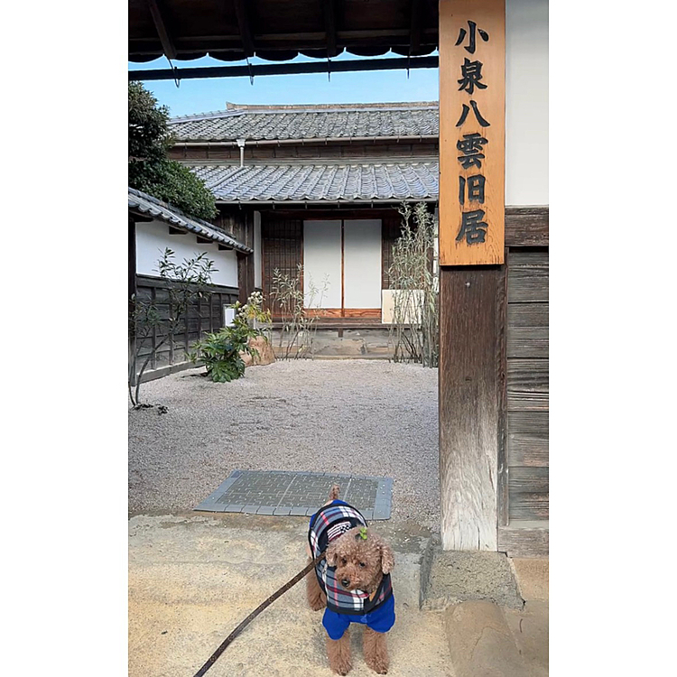 ライちゃんも入りたかったなぁ






