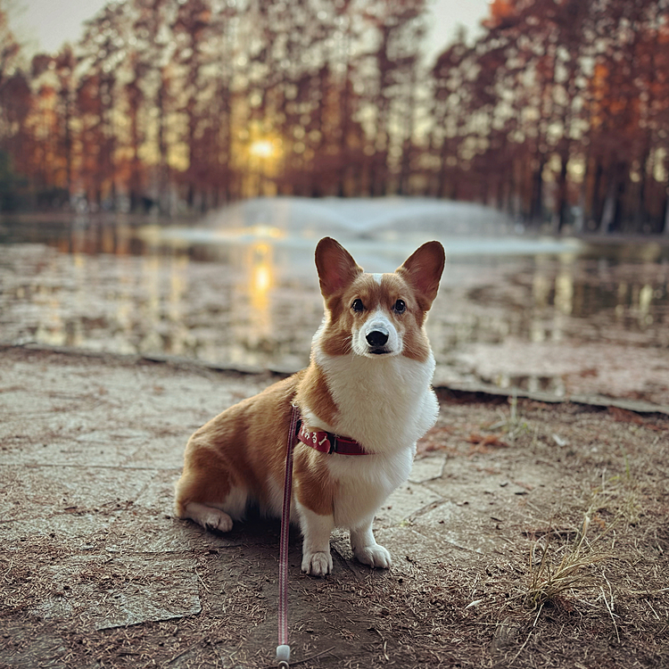 夕焼け🌆と噴水⛲️をバックにハイチーズ