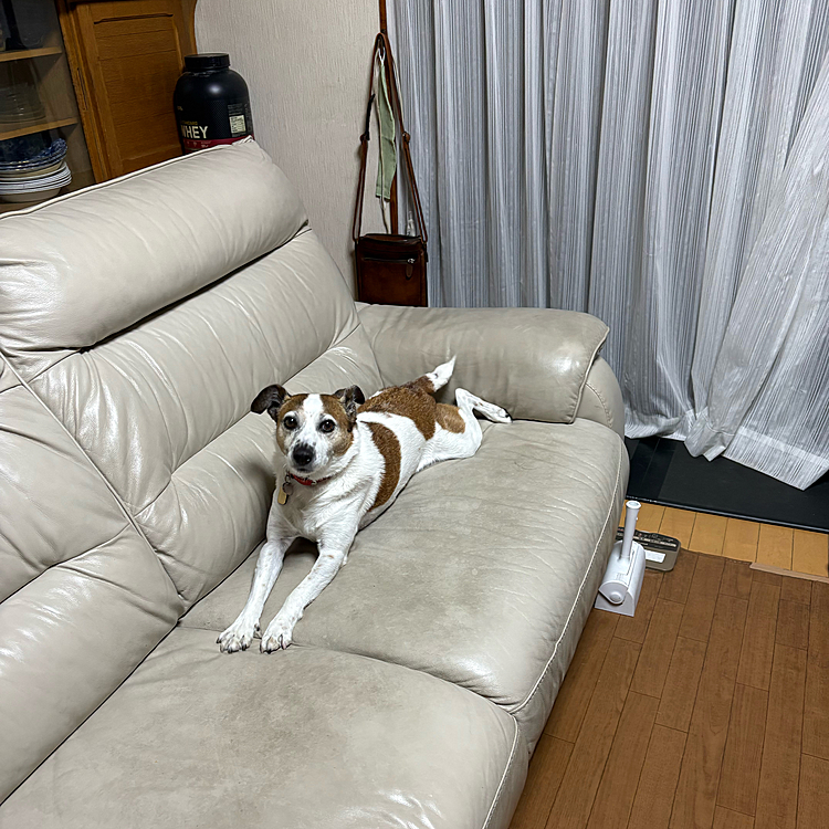 のびのびしてた