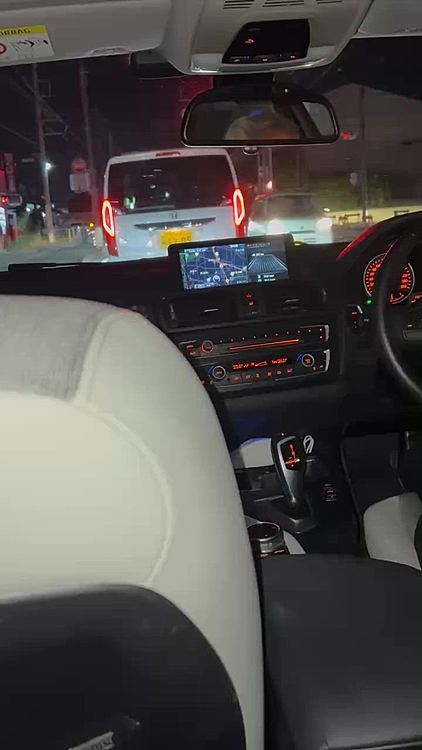 パパの車でタイガー🐯お留守番でお出掛け