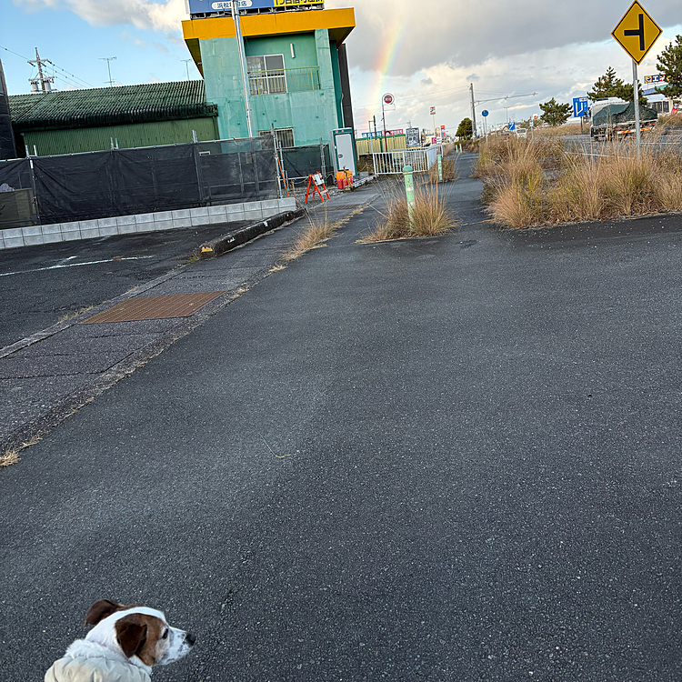 更に近づいたら
もっとはっきり見えて💕💕💕
午後3時半の散歩で、、