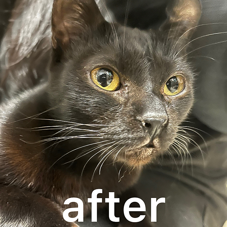 やっと可愛く撮れた！
瞳もパッチリしてていい感じ😊
