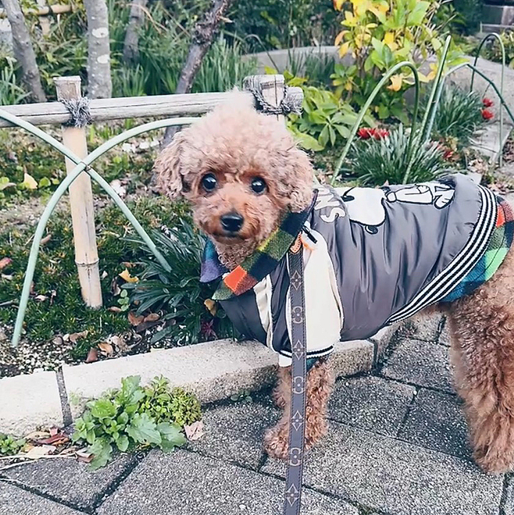 口角が上がってみえる


