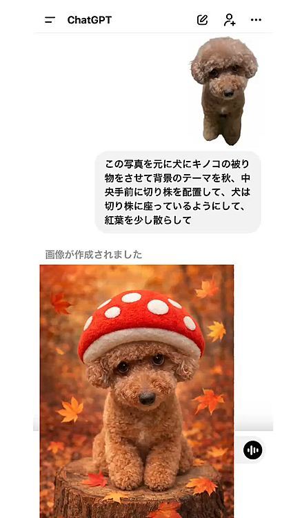 １度で出来るChat GDP！

すごいですよね！

Googleでログインしてますが

GeminiもGoogleのアプリなのに…

パーソン・オブ・インタレストというアメリカドラマを思い出しました

作成者は危険思想など排除しながら根気強く知能マシンを仕込んで行くのですが

そのうち知能マシンの健気さに泣けてしまうSF好きジュウ号

知能をもったワンコのように忠実なんです🥲❤️

逆にワンコはちょっとズルいとこありますよね😅





