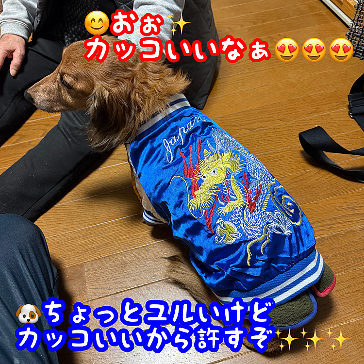 お久しぶりです✋
このSNSは写真を複数載せられないから💦
今年のクリスマス🎄はオムツのズレを防ぐ為の術後服ともぉ1つオーダーしてたスカジャン🐯🐉が1日早く届きました🎁